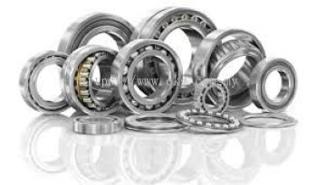 Electric Bearing Load Analysis