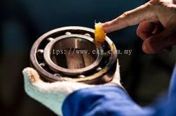 Electric Bearing Preventive Maintenance