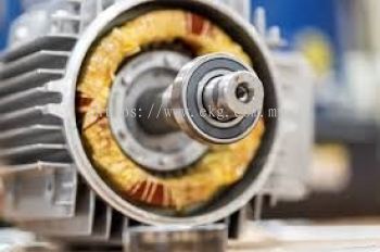Electric Motor Bearing Replacement