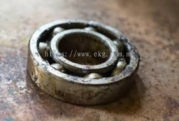 Electric Motor Bearing Corrosion Inspection