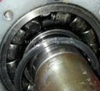 Electric Motor Bearing Damage Assessment