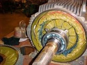 Electric Motor Bearing Lubrication Inspection