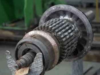 Electric Motor Bearing Maintenance Inspection