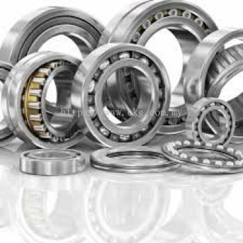 Electric Motor Bearing Mechanical Integrity Inspection