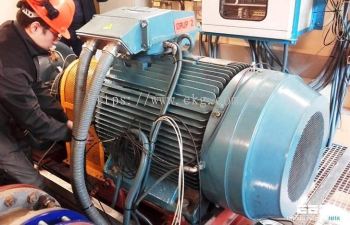 Electric Motor Bearing Predictive Maintenance Inspection