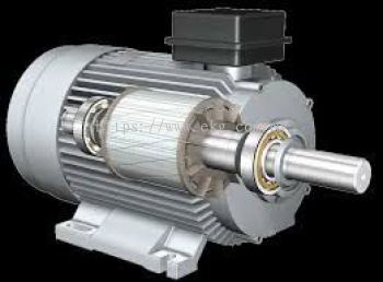 Electric Motor Bearing Runout Inspection