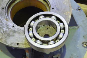 Electric Motor Bearing Seal Inspection