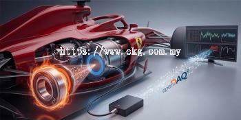 Electric Motor Bearing Temperature Inspection