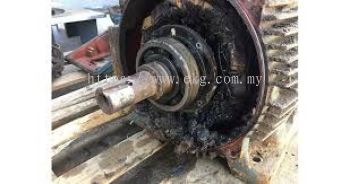 Electric Bearing Re-Lubrication Service