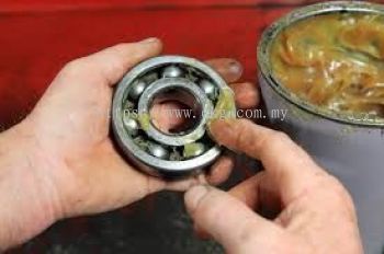 Electric Motor Bearing Lubrication Service