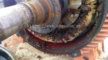 Electric Motor Bearing Overheating Lubrication Fix