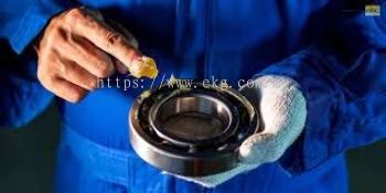 Industrial Electric Bearing Greasing Service