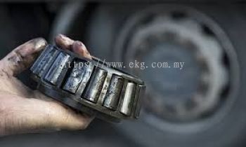 Scheduled Bearing Greasing Maintenance Service
