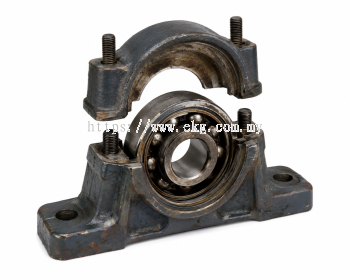 Open Bearing Cleaning & Restoration