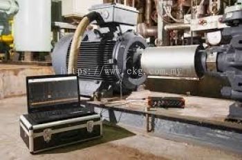 Electric Bearing Industrial Vibration Survey