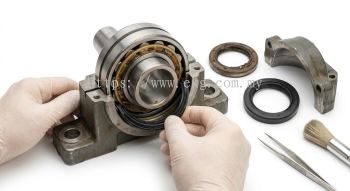 Bearing Seal Inspection and Replacement
