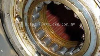 Bearing Failure Prevention Service