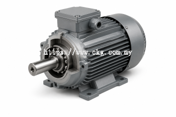 Electric Motor Bearing Condition Assessment