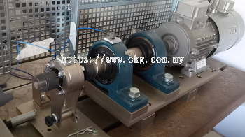 Industrial Electric Bearing Health Check