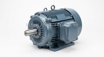 AC Motor Bearing Overhaul Service