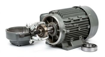 Industrial Electric Bearing Replacement