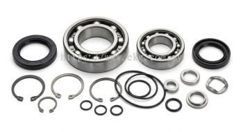 Motor Bearing Overhaul Service