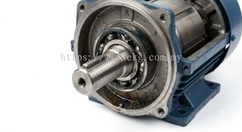 Electric Motor Bearing Failure Diagnosis