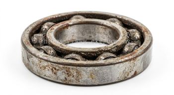 Electric Bearing Environmental Damage Assessment