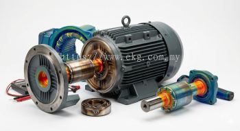 Electric Bearing Overheating Investigation