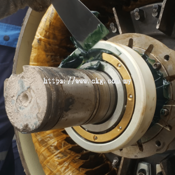 DC Motor Bearing Failure Recovery Service