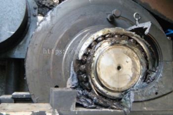 Electric Bearing Noise and Vibration Emergency Fix