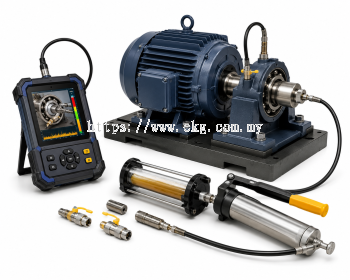 Electric Bearing Lubrication Assessment