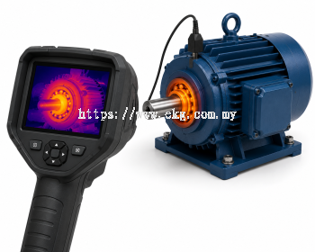Electric Bearing Thermal Imaging Inspection