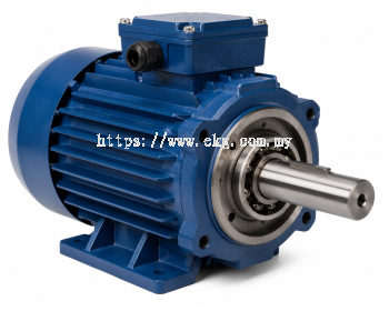 Electric Motor Shaft Bearing Fitting