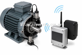 Electric Bearing Condition Monitoring Service