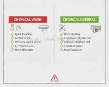 Electric Bearing Chemical Cleaning Service