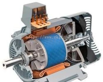 Electric Bearing Corrosion Treatment Service