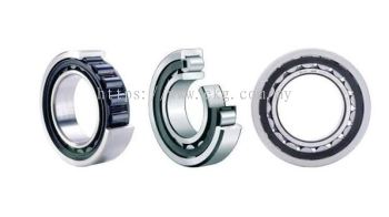 Electric Bearing Supply and Replacement Support Service