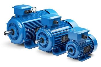 Electric Bearing Motor Reconditioning Support Service