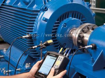Electric Bearing Vibration Analysis Service