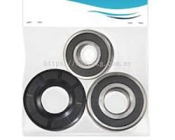 Bearing Seal Replacement for Electric Systems