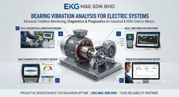Bearing Vibration Analysis for Electric Systems