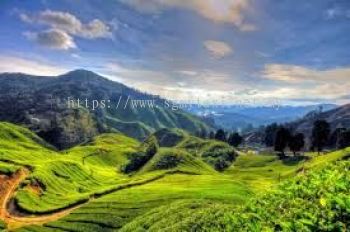 Singapore To Cameron Highlands