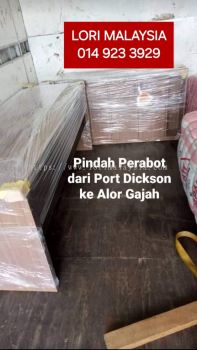 40FT TRAILER KOTA SARANG SEMUT