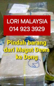 PINDAH RUMAH LEMBAH BERINGIN