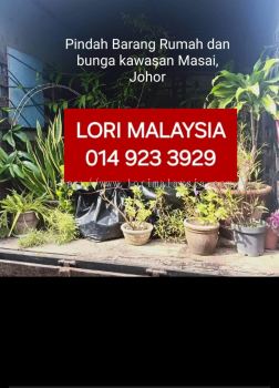 PINDAH RUMAH MANONG