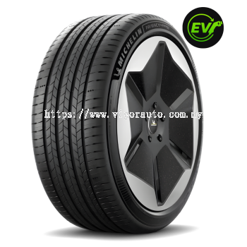255/45 R19 Michelin Primacy 5 Energy