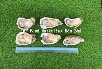 Oyster