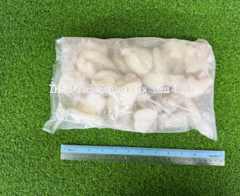 Sotong