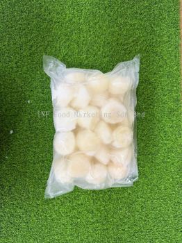 Scallop 1020